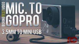 GoPro Microphone Input  - 3.5mm to Mini USB Cable