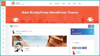 Top 10+ Best BuddyPress WordPress Themes for Social Media Network and Communities