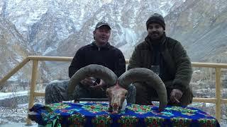 Pakistan Blue Sheep Post Hunt! What an incredible country and animal!