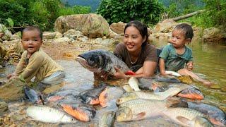 How to catch giant fish ponds on hot days to sell at the market - cook with your kids