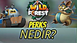 Perks Nedir? Arcade modu | Wild Forest son güncellemeler