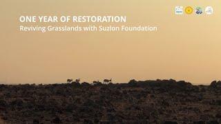 One Year of Restoration | Reviving Grasslands with Suzlon Foundation