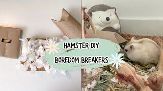 Simple Hamster DIY Boredom Breakers! 