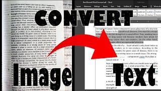 Convert Image to Text in Microsoft Word