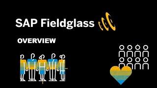 SAP Fieldglass | Overview