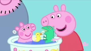 Peppa Pig English Episodes  No Ads