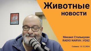 Животные новости | Radio Narva | 262