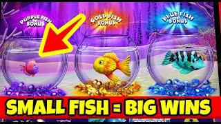 RARE!  Purple Fish pays a Huge Jackpot!