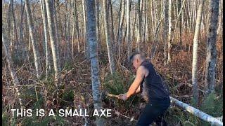 Felling tree with bushcraft axe. Axe handle copy lathe