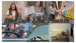 Busy days after Vacation! Dead car, Groomers, and broken phones... Vlogmas#9