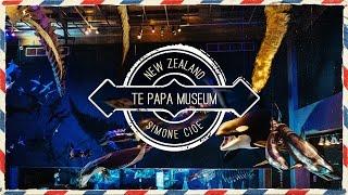 TE PAPA MUSEUM  [Wellington • Nuova Zelanda ]