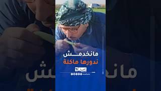 النوي كلالهم كامل الجلبانة !  #ennahartv #news #تيك_توك