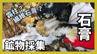 【鉱物採集】寒波で雪降る鉱山を探索／雪花石膏・繊維石膏／粘土だらけのズリ【石膏】