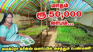 ஒரு கிலோ ரூ.1000 முதல் ரூ.5000 வரை | Micro Greens வளர்ப்பில் இவ்வளவு லாபமா?