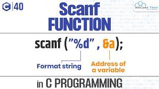 What is SCANF? | Scanf () Function in C Programming | C Programming Tutorial