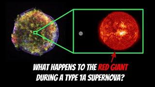 What Happens To The Red Giant Star During A Type 1a Supernova?