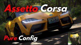 【Assetto Corsa】Pure Config 怎麼調? | Pure調校攻略