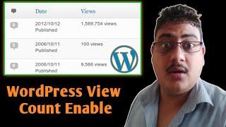 How To Enable View Count Option in Wordpress | How To Enable Post View Count In Wordpress in Hindi