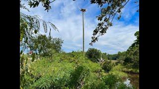 Ocean Springs osprey nest installed