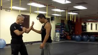 Jin Young and Dominick Izzo - Wing Chun