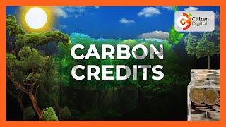 The Explainer: The carbon credits trade broken down