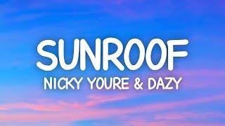 Nicky Youre, dazy - Sunroof (Lyrics)