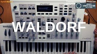 Thomann's Synth Reactor vlog#15 - Waldorf #TSR19