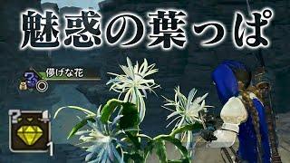 狩猟なしでレア装飾品やアーティア武器が簡単に効率よく入手できる『儚げな花マラソン』がすごい【モンハンワイルズ モンスターハンターワイルズ 切り抜き】