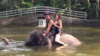 Crazy Elephant Ride