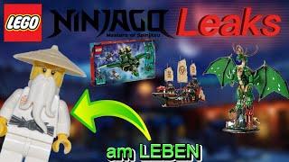 MEISTER WU LEBT WIEDER und neue Ninjago SERIE?! - NEUE LEGO Ninjago 2025 LEAKS