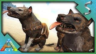 HYAENODON TAMING & BREEDING! HOW TO TAME + TAMING PEN!  - Ark: Survival Evolved [S3E114]