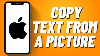 How to Copy Text From a Picture on iPhone (2023)