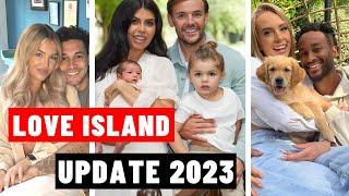 Love Island (UK) Couples That Are Still Together (Season 1 - 8): Kids, Marriage & More!