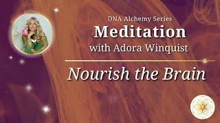 Nourish the Brain Meditation