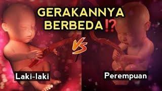 Cara Membedakan Gerakan Janin Laki-laki dengan Perempuan, Ibu Hamil Perlu Tahu Hal Ini!