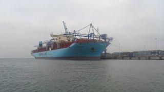 Matz Maersk || Deck Tour || Mighty Ship || 399m || Humans at sea || Part-1