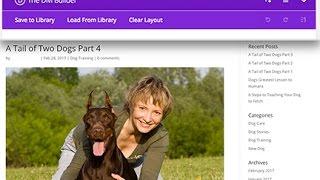 Making A Blog Post With Divi In Wordpress | Best Website Solutions