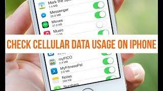 iPhone Tips and Tricks | How to Check Cellular Data Usage on iPhone