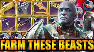 BEST VANGUARD Weapons To DOMINATE PvE!!!