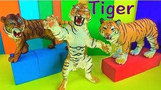 Big Cat Week 2018 - Wild Animals - Learn about Tigers - Zoo Animals - Kids Toys - Educational