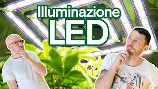 Lampade Led per Coltivazione Indoor - Guida alla Coltivazione Indoor Garden West GrowShop Milano