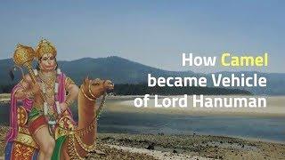 How Camel became Vehicle of Lord Hanuman