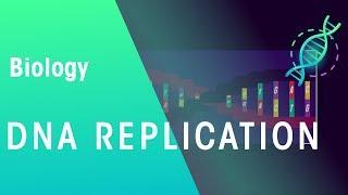 DNA Replication | Genetics | Biology | FuseSchool