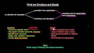 What are Emotions and Moods | Organisational Behavior | MeanThat