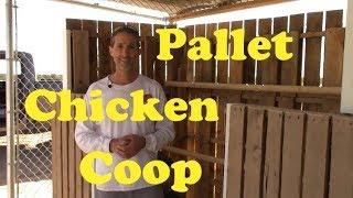 Pallet Chicken Coop | Desert Coop Design