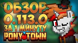 Пони Таун ОБЗОР обновления 0.113.0 ЗА 1 МИНУТУ | Pony Town |