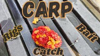 How to catch carp - easy and cheap carp fishing tips - carp bait #carpfishing #carpbait #corn