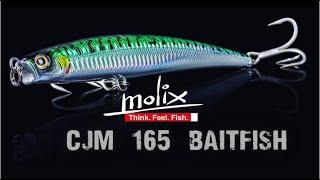 MOLIX Saltwater Casting Jig Minnow Lure CJM 165 Baitfish