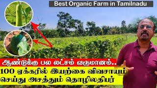 100 ஏக்கரில் இயற்கை விவசாயம் செய்து அசத்தும் தொழிலதிபர் | Best Organic Farming in Tamilnadu | MIT