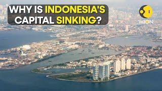 Jakarta is sinking. Can the Indonesian capital be moved? | WION Originals